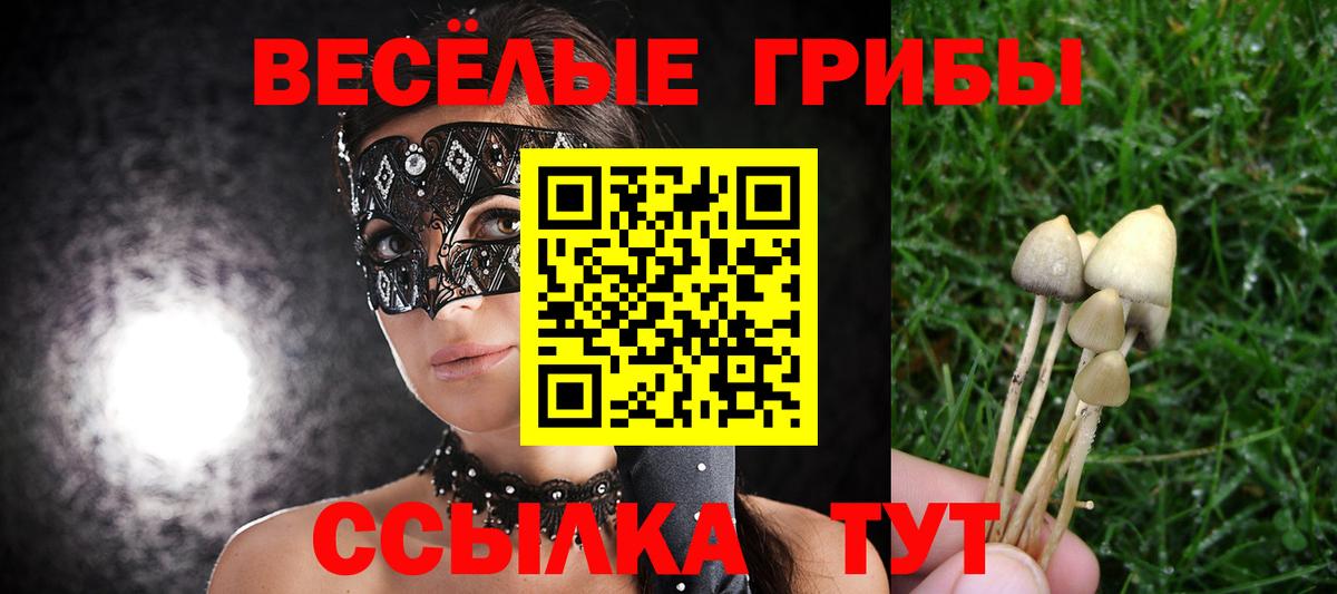 Псилоцибиновые грибы мицелий Липецк