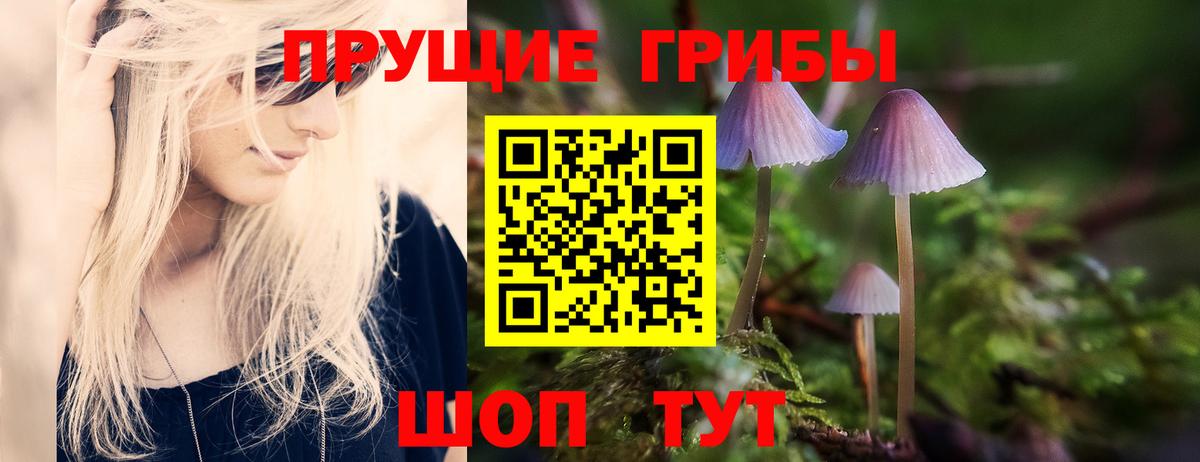 Липецк  Галлюциногенные грибы MAGIC MUSHROOMS  Вход с VPN 